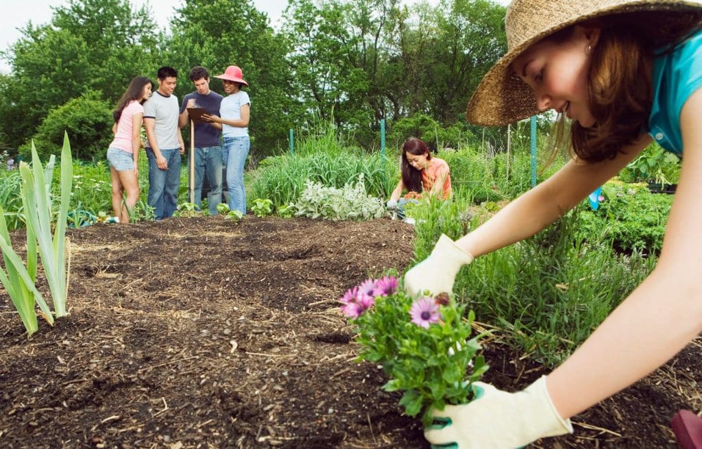 Enhance Your Home and Community Through Gardening