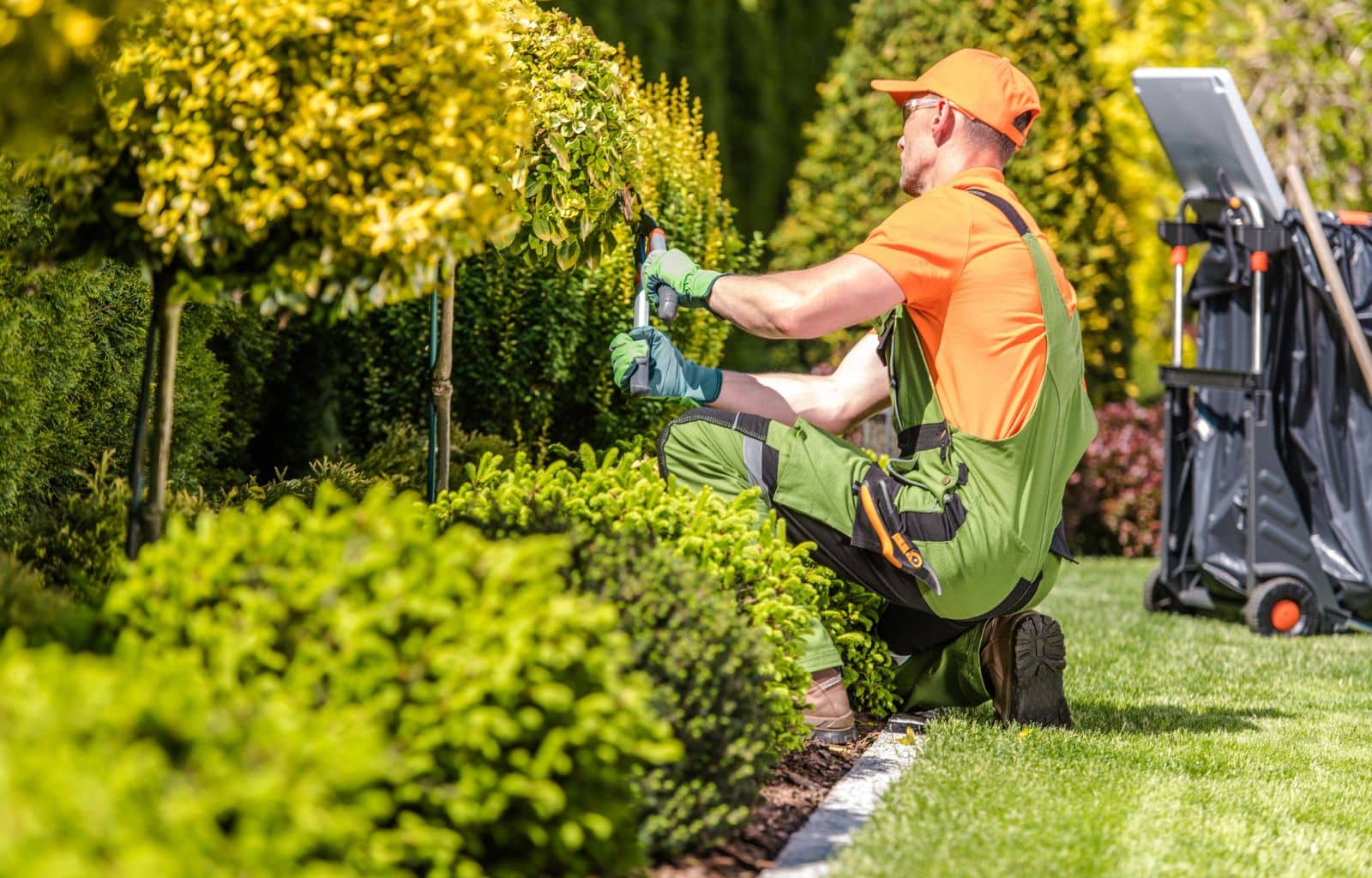 Gardening & Landscaping Classes in San Diego