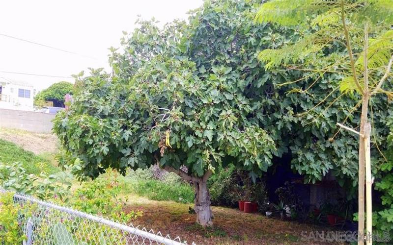 1304 4th St, National City, California 91950, 1 Bedroom Bedrooms, ,2-4 Units,For Sale,4th St,190050732